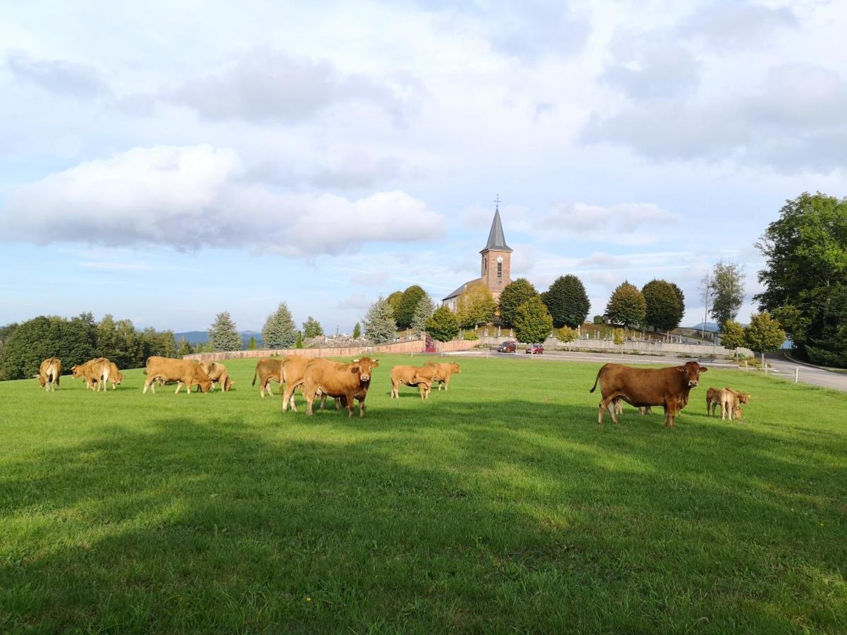 Le Cedre Bleu Hotel Saint-Michel-sur-Meurthe ภายนอก รูปภาพ
