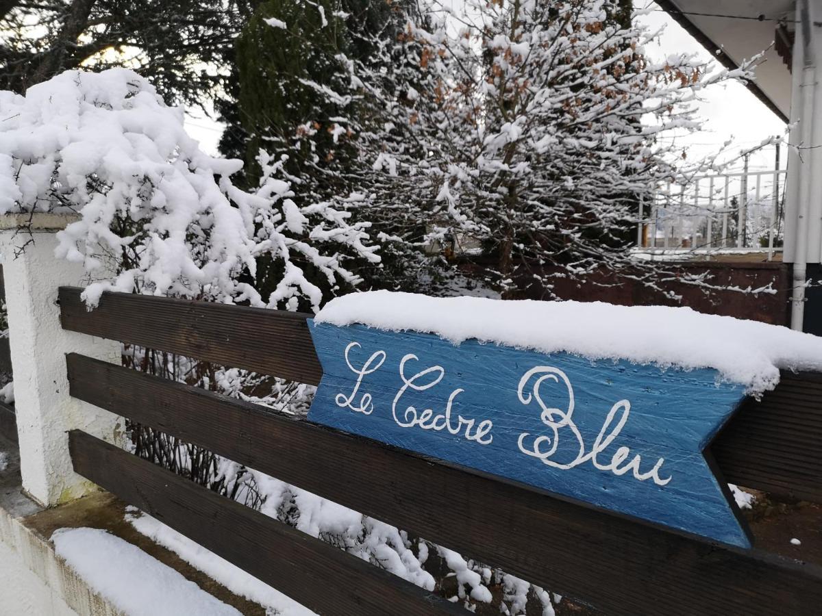 Le Cedre Bleu Hotel Saint-Michel-sur-Meurthe ภายนอก รูปภาพ